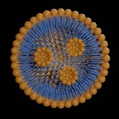 Contemporary Lipid Assessment: Why Cholesterol Alone May Not Tell the Full Story