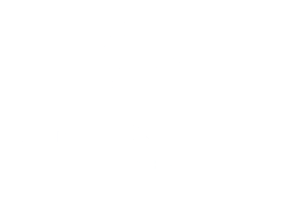 Dynamic Leader Development