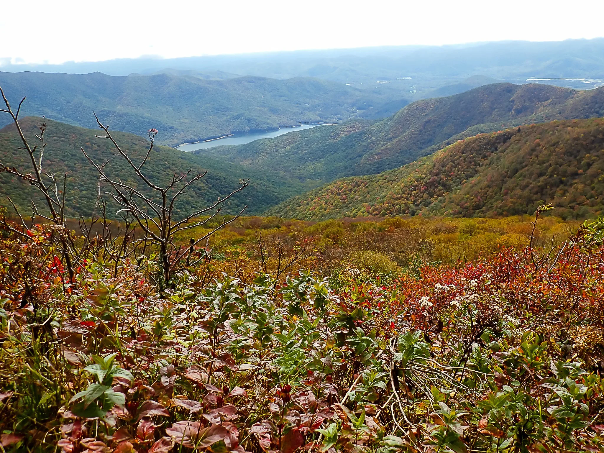 Craggy 03 - (2025, Oct, 06)_.jpg