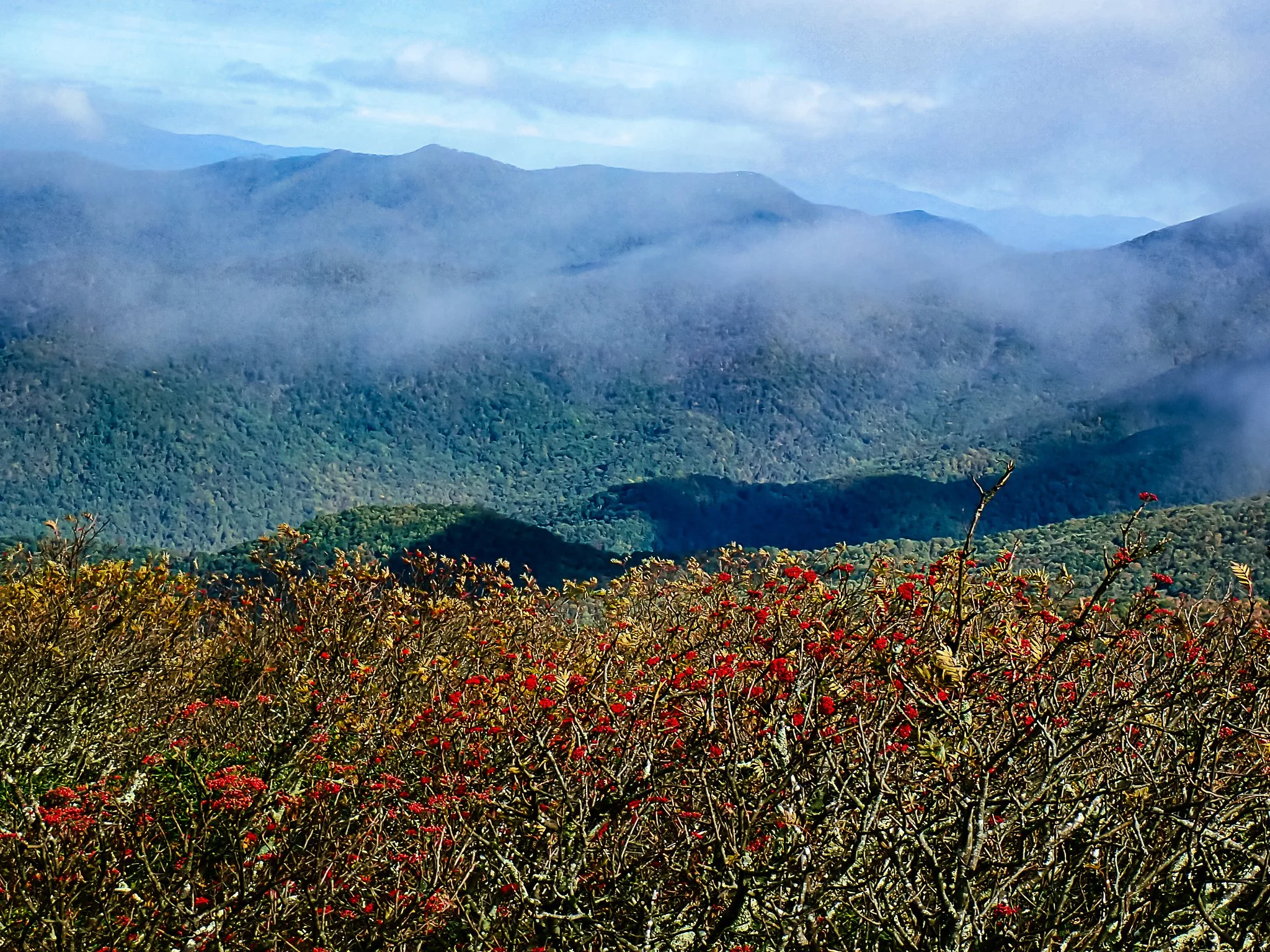Craggy 02 - (2025, Oct, 06)_.jpg