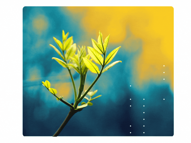 First Matter: The Science of Commercialization