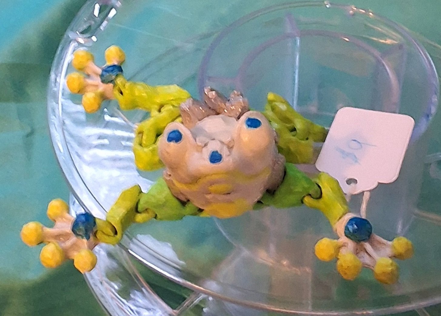 Gem+Frog.jpg