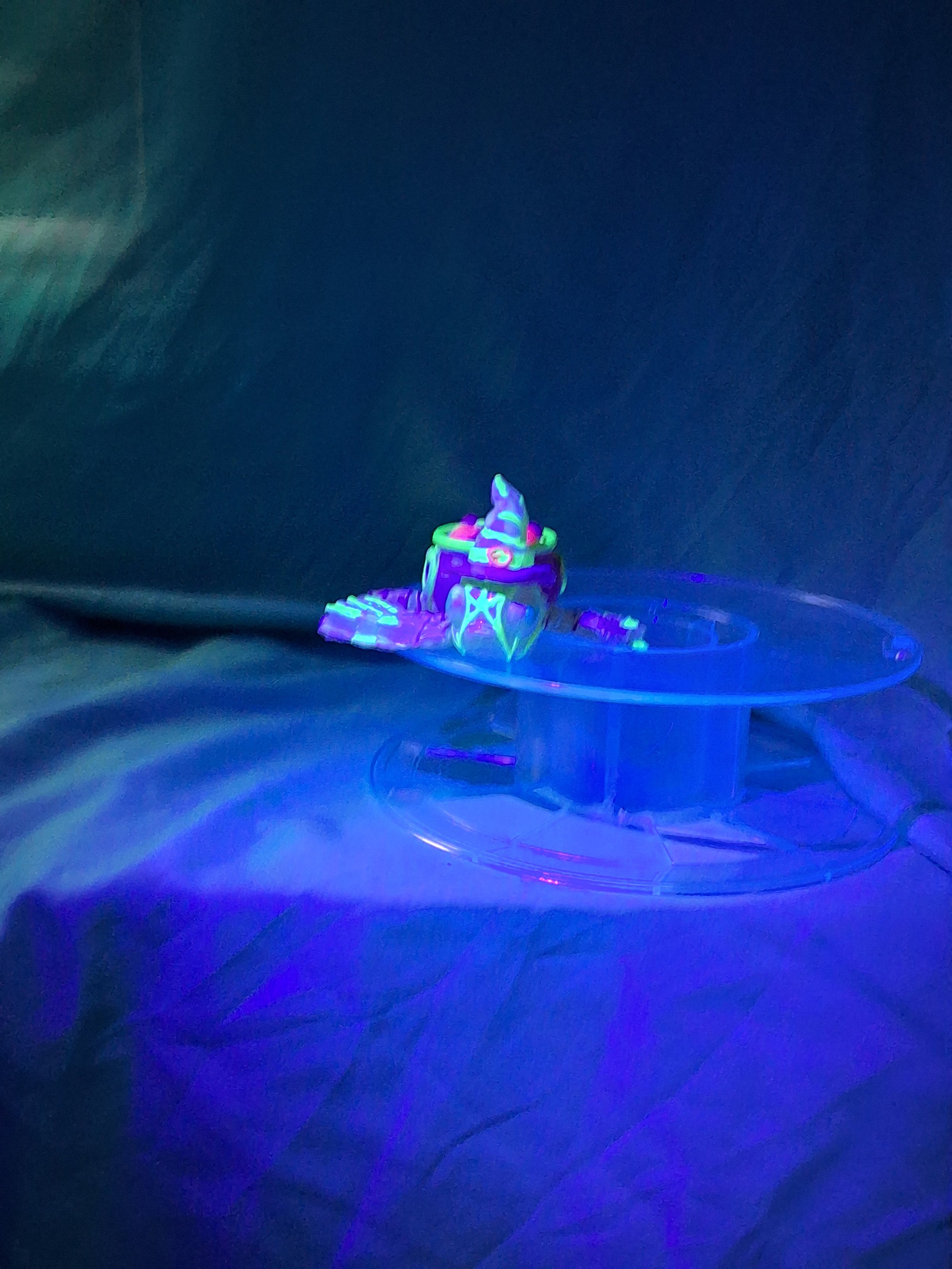 Witch Turtle (12).jpg