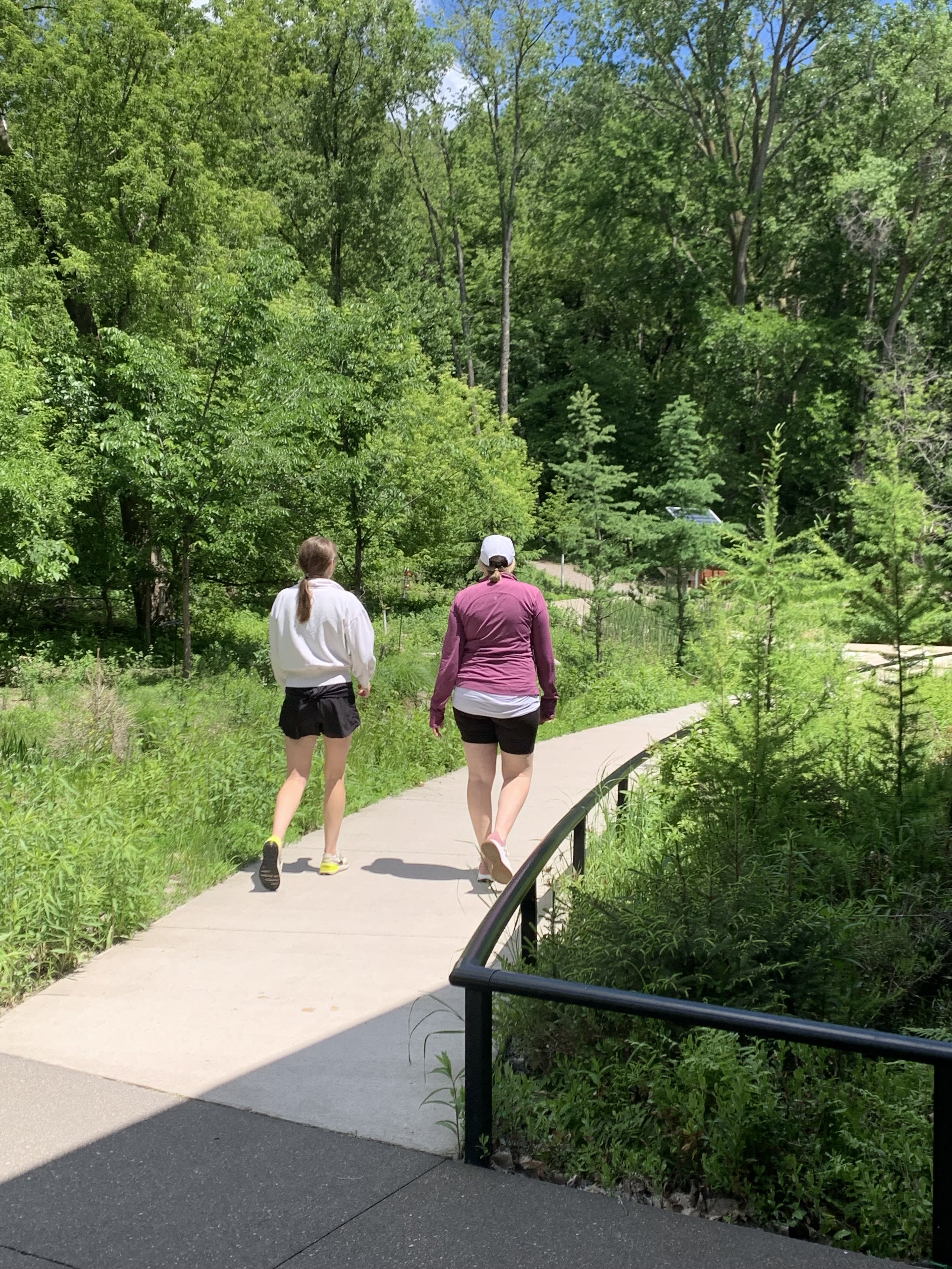 MEETUP - Walk The Lake