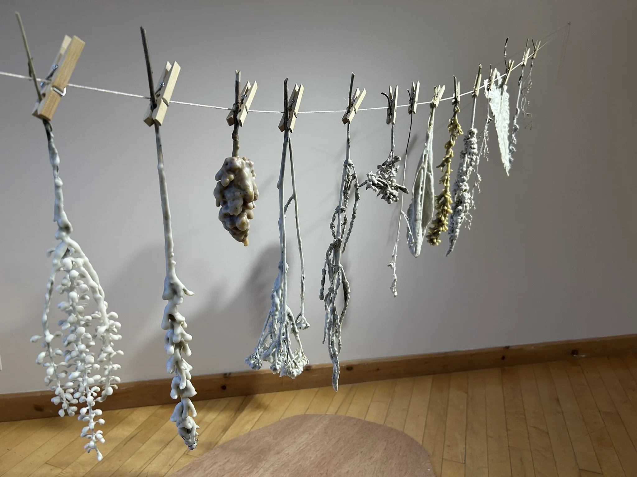 Les jardins de cire - Résidence et exposition