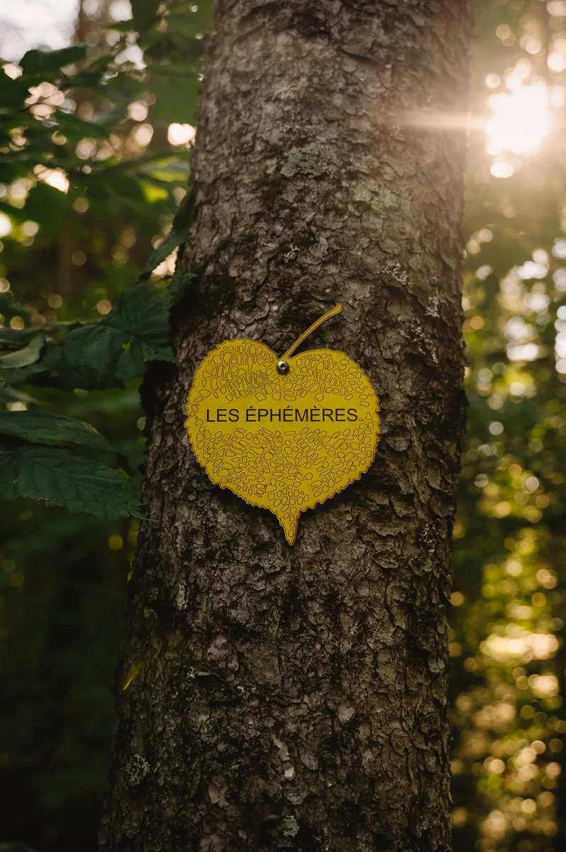 ephemeres01.jpg