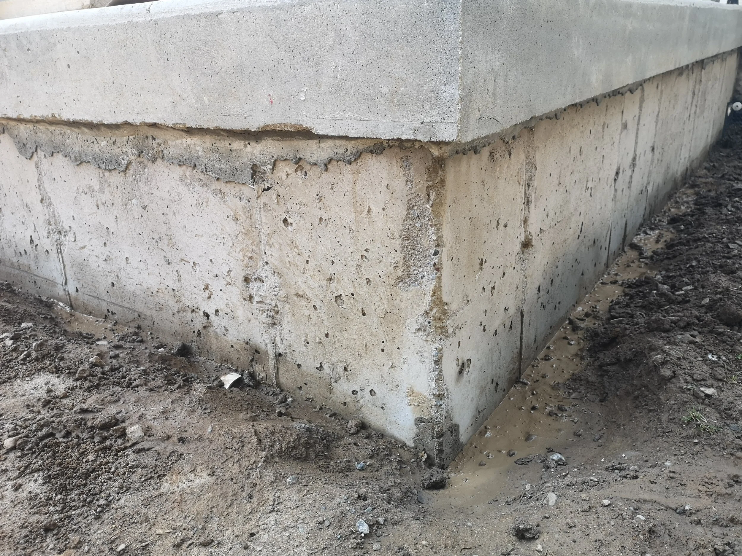 HP Foundation 1.1.jpg