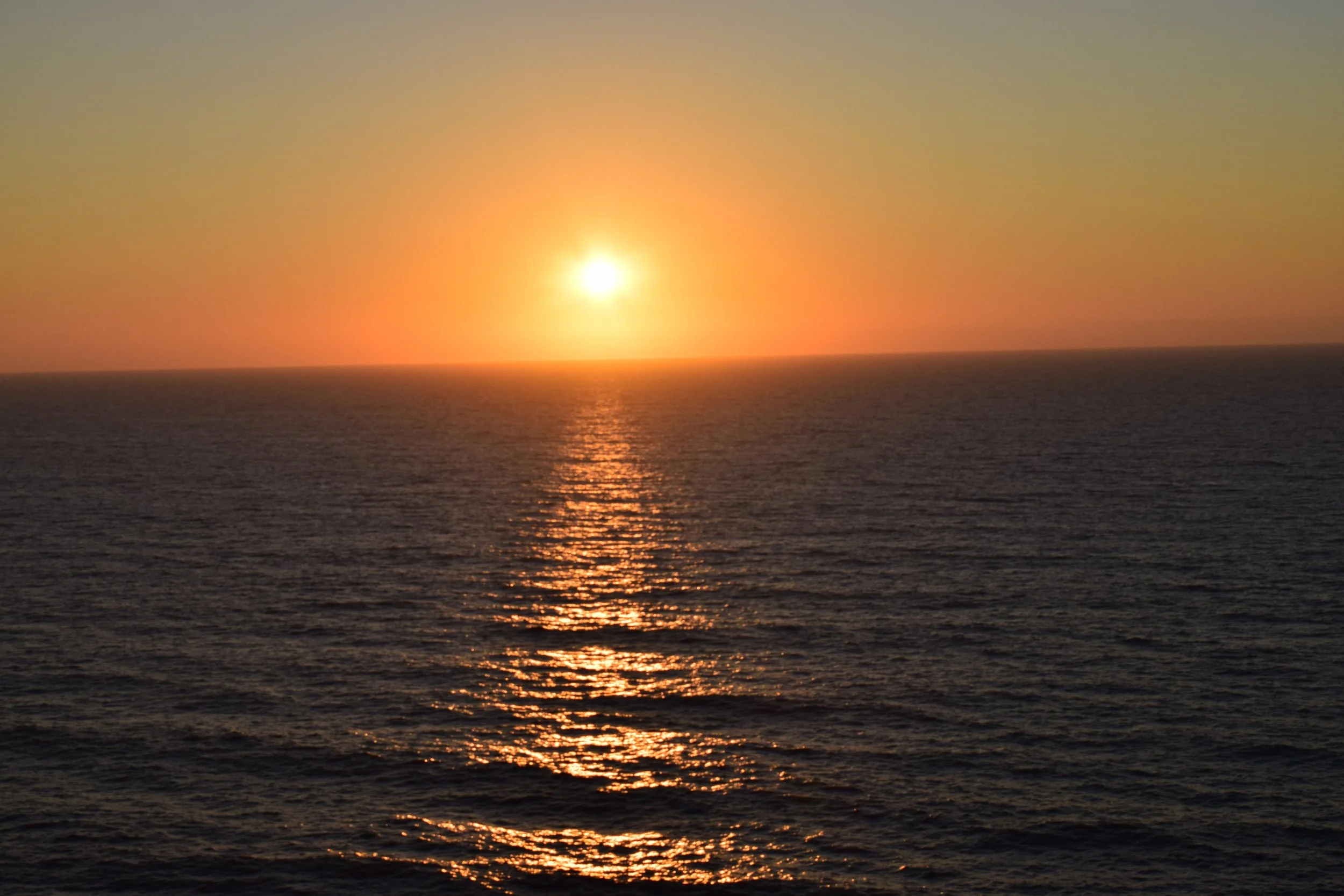 DSC_0458.JPG