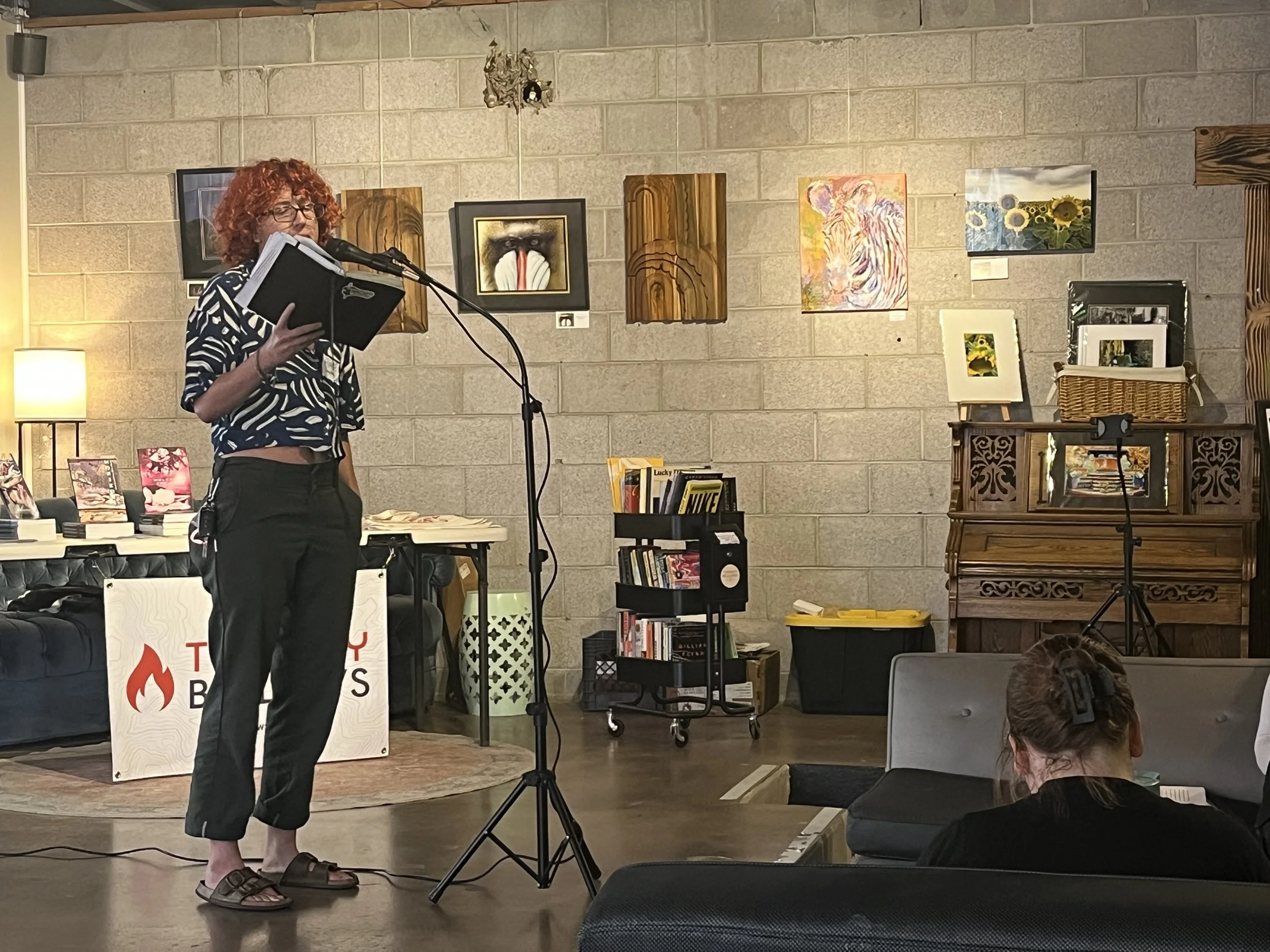 creative colorado writers retreat.jpeg