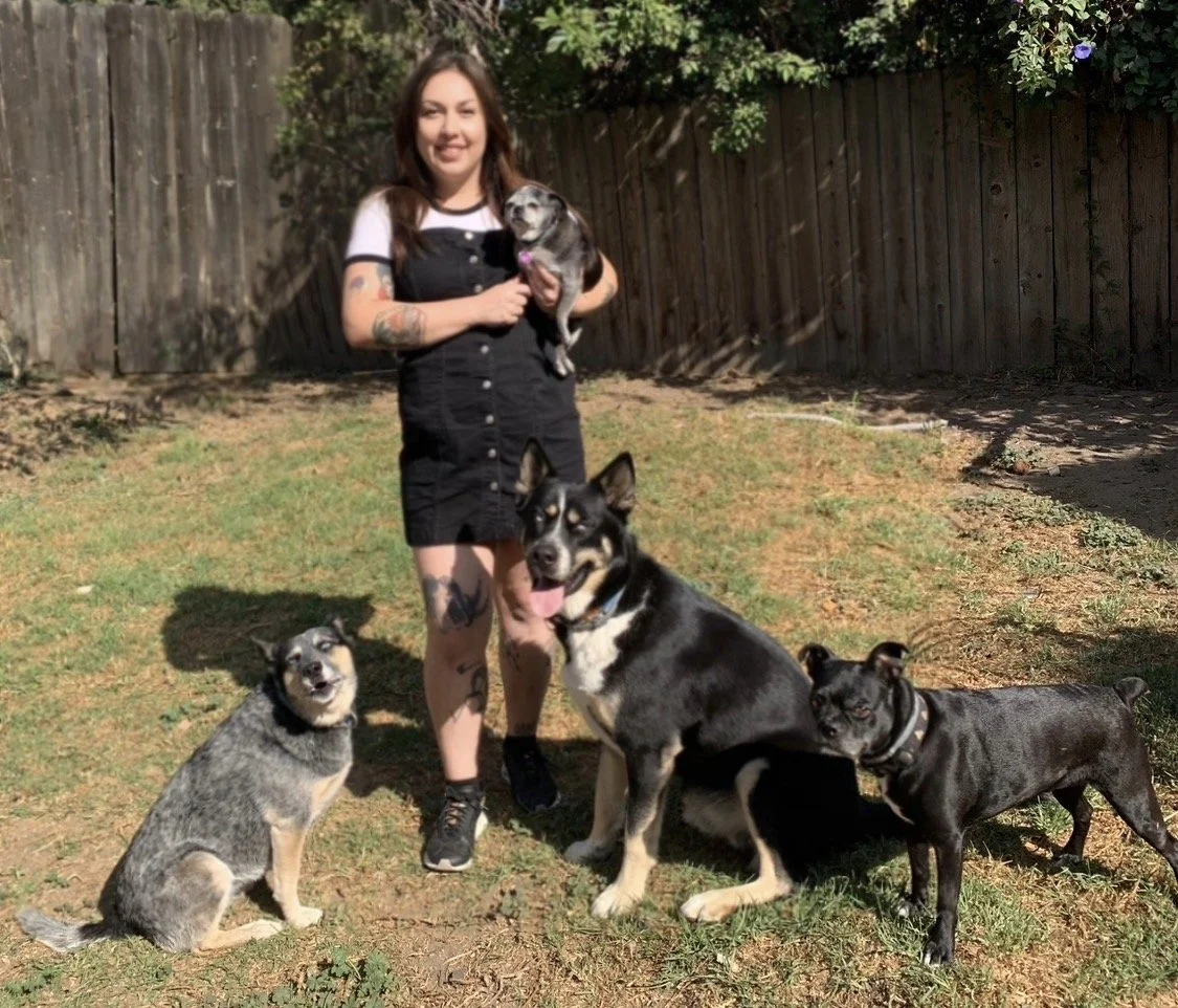 A woman holding a small dog in a backyard with four other dogs sitting on the grass around her, a wooden fence in the background, and sunlight casting shadows.