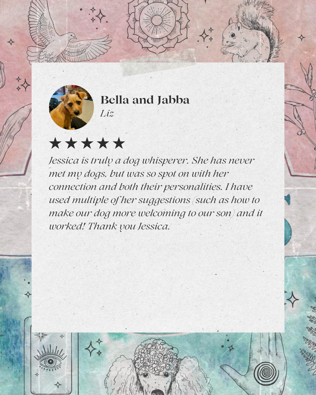 AC reviews.png