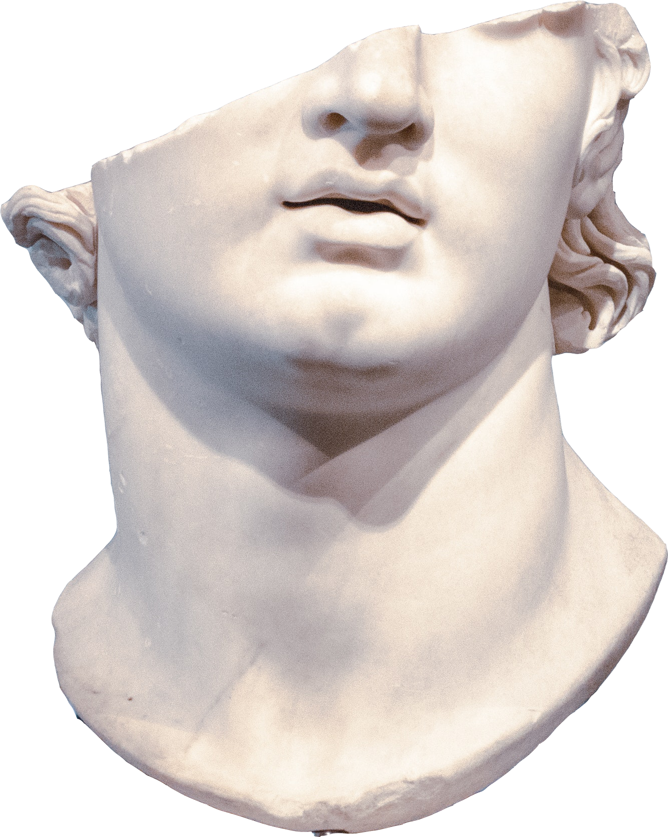 Close-up of a white marble bust statue of a classical woman with detailed hair, a serene expression, and a draped neckline.