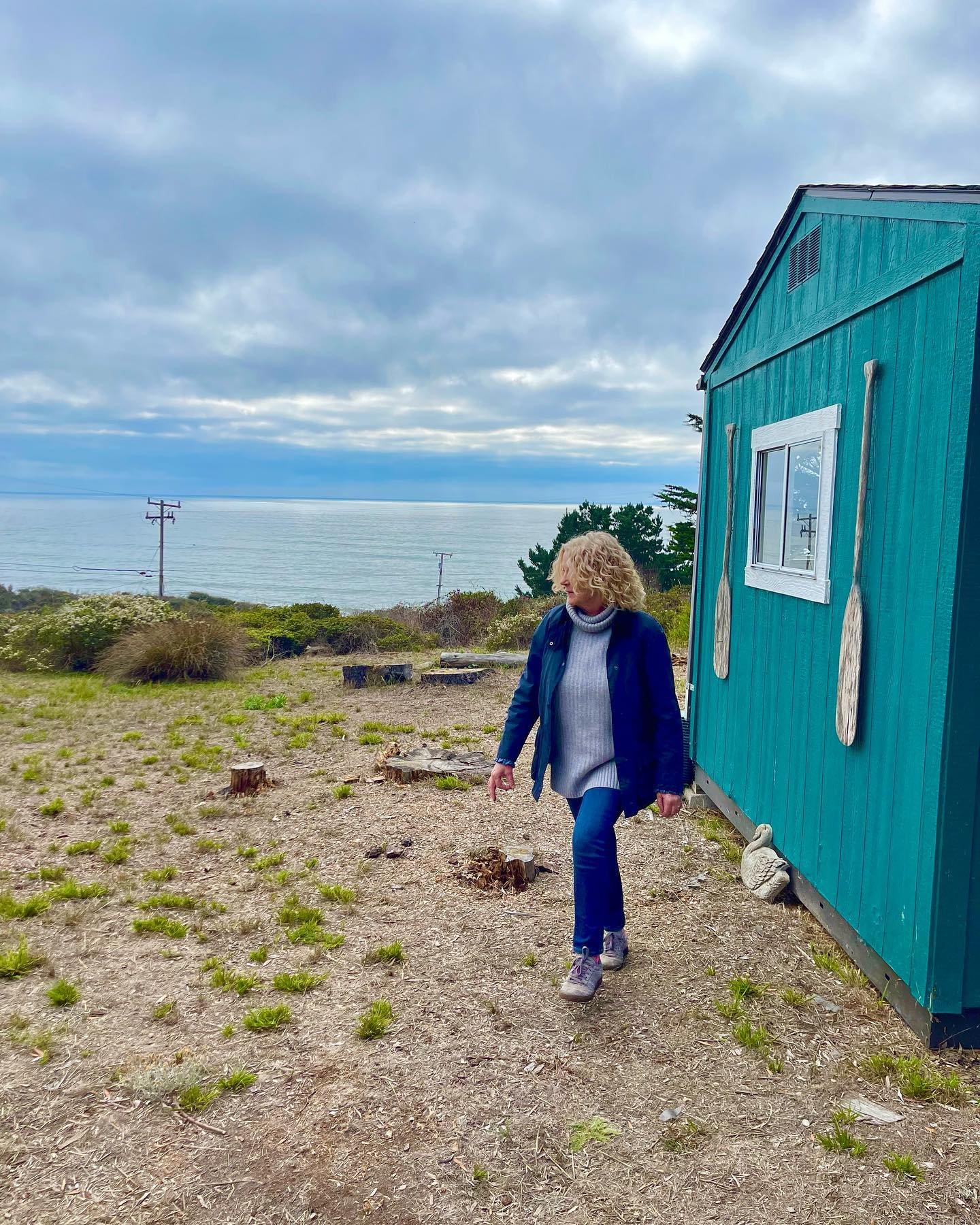 This is a longer story than 3 photos can tell, but yes, I did just help my clients purchase a magical two-lot property in Bolinas, and yes, those are the Farrallon Islands visible from their yard on a clear day! We also saw whales spouting and hawks 