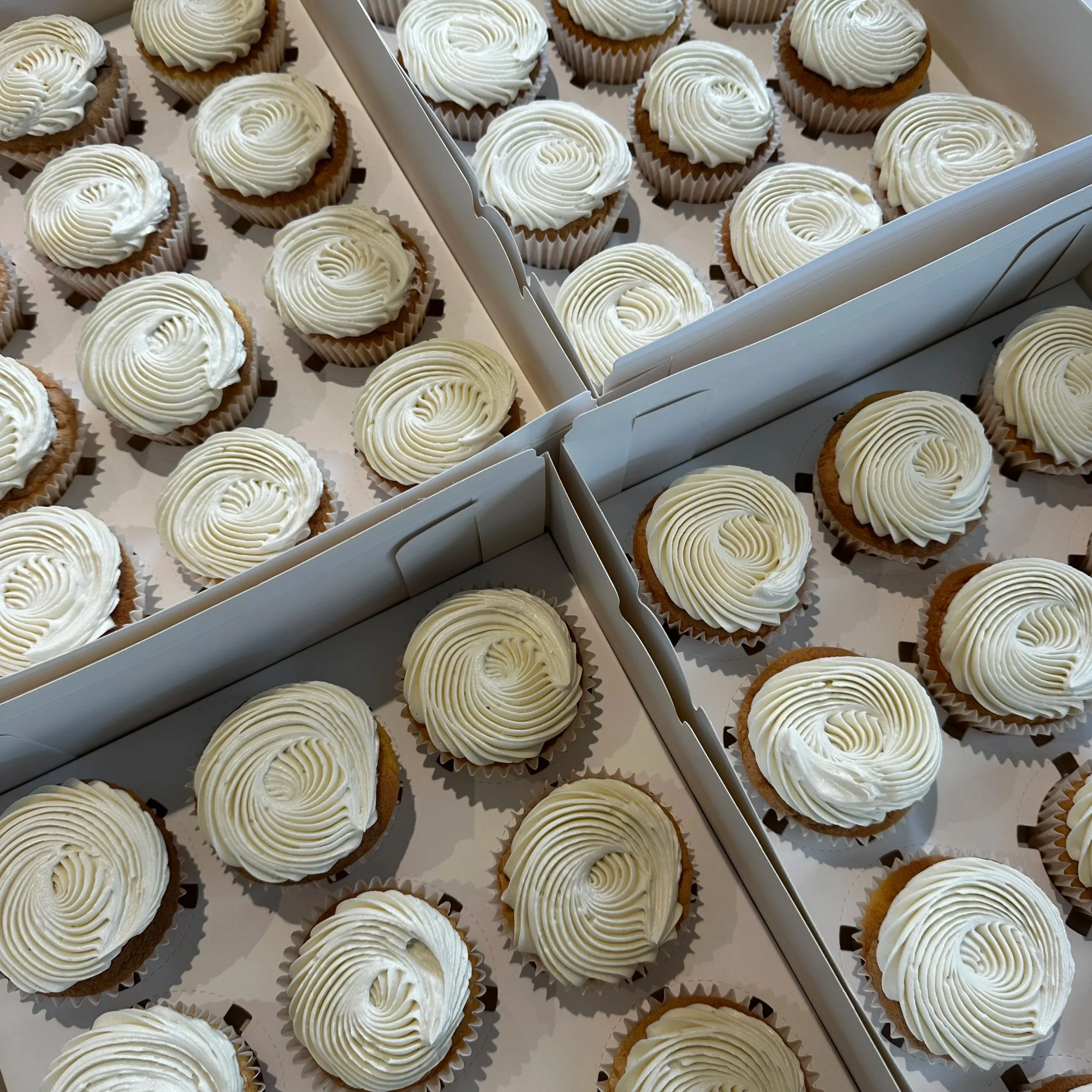 48 vanilla cupcakes - £108