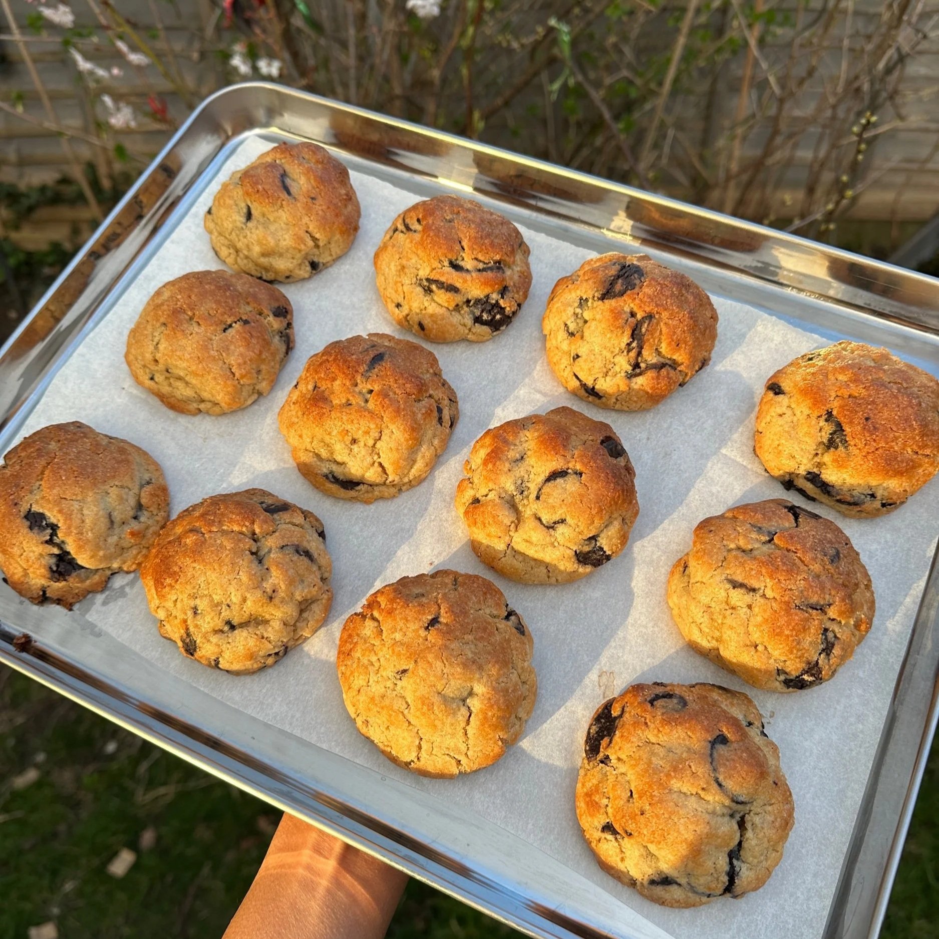 CHOCOLATE CHIP COOKIE