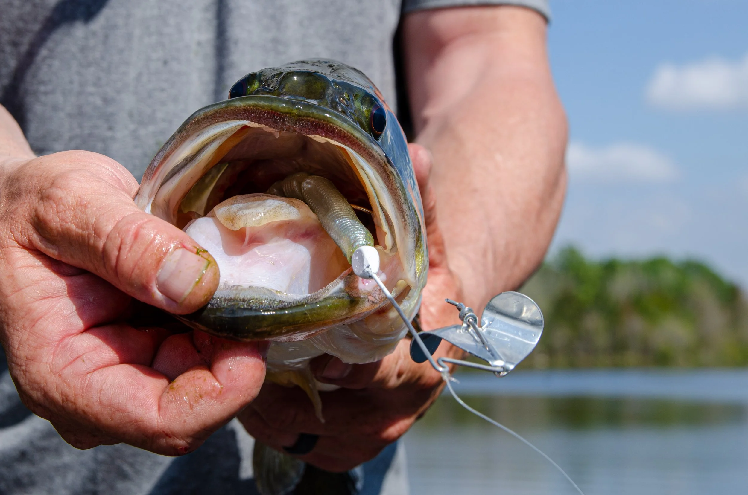 sprague-lake-fork-trophy-lures-march-4-2024-06.jpg