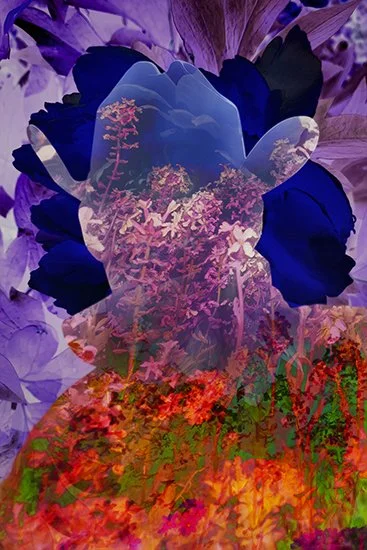 { Under the Sun No. 12 } JK-CowboyFlowers_Q9O0143-ZZZZ4956-06a.jpg