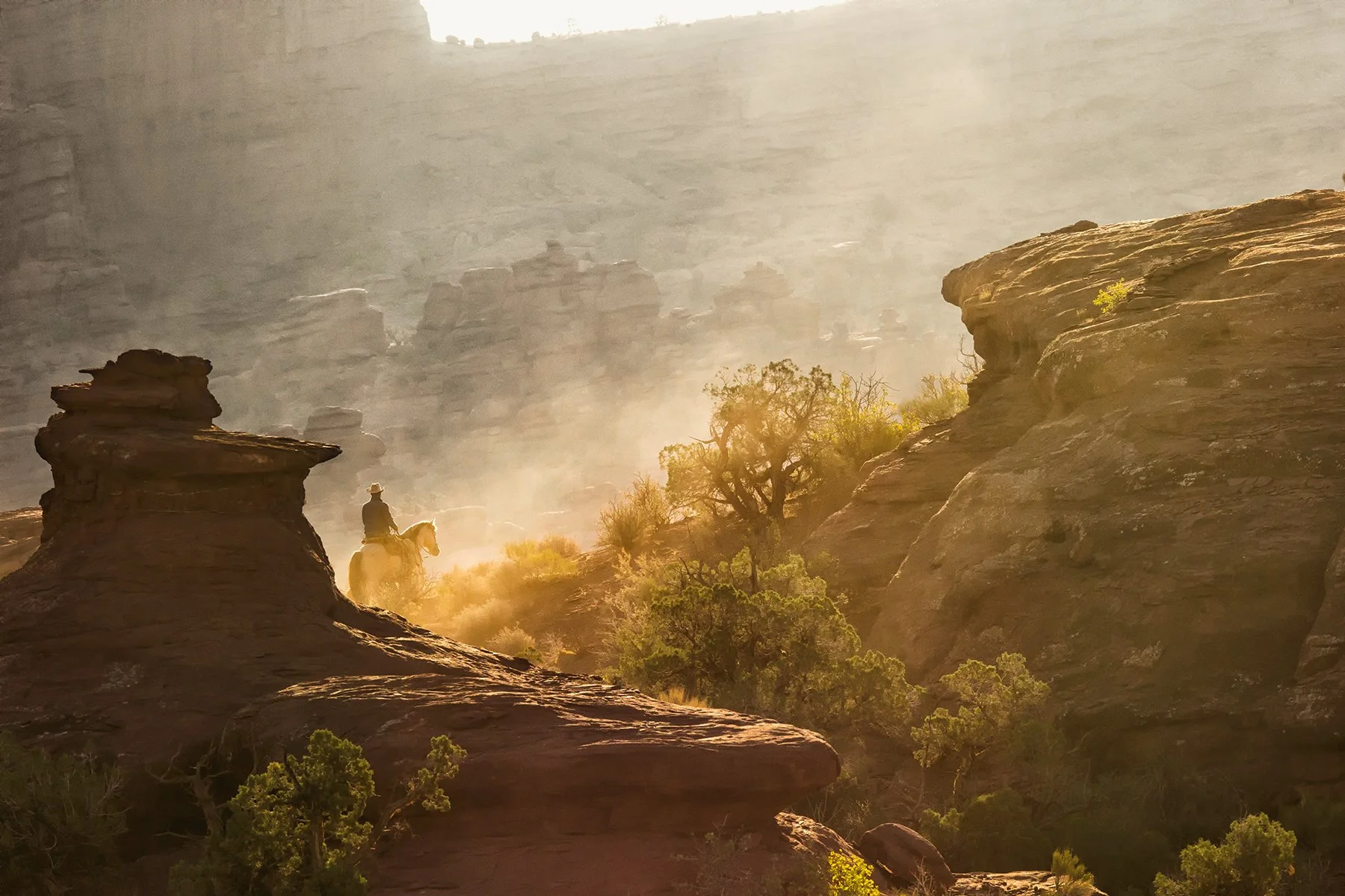 { FRONTIER no. 4 } ©krantz dz.jpg