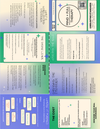 Unrelenting Standards Schema: Perfectionism, Shame, and High Achiever s ...