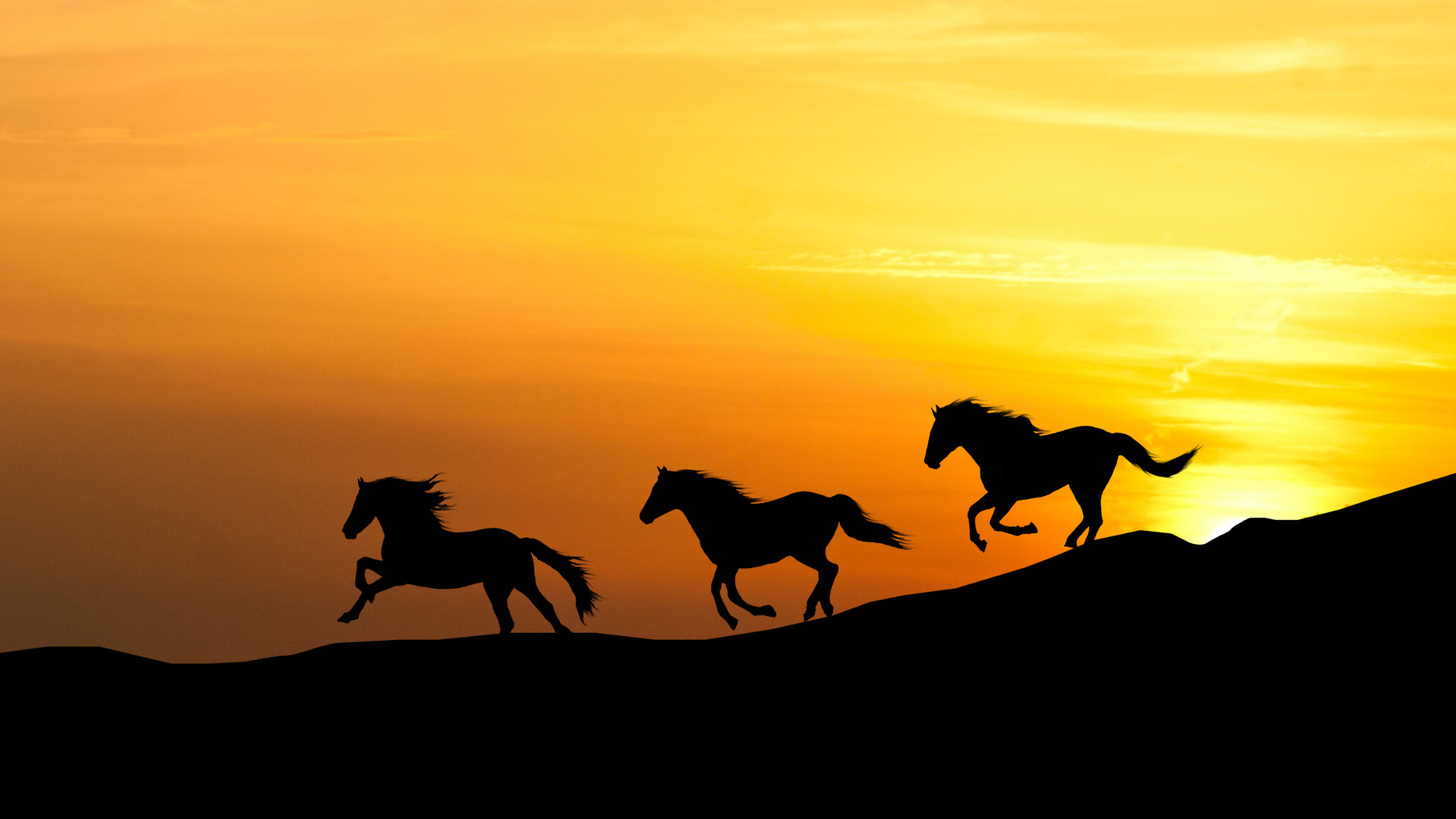 Embracing Uncertainty: The Wisdom of “Sāi Wēng Lost His Horse” for Healing and Mindfulness (downloadable exercise)