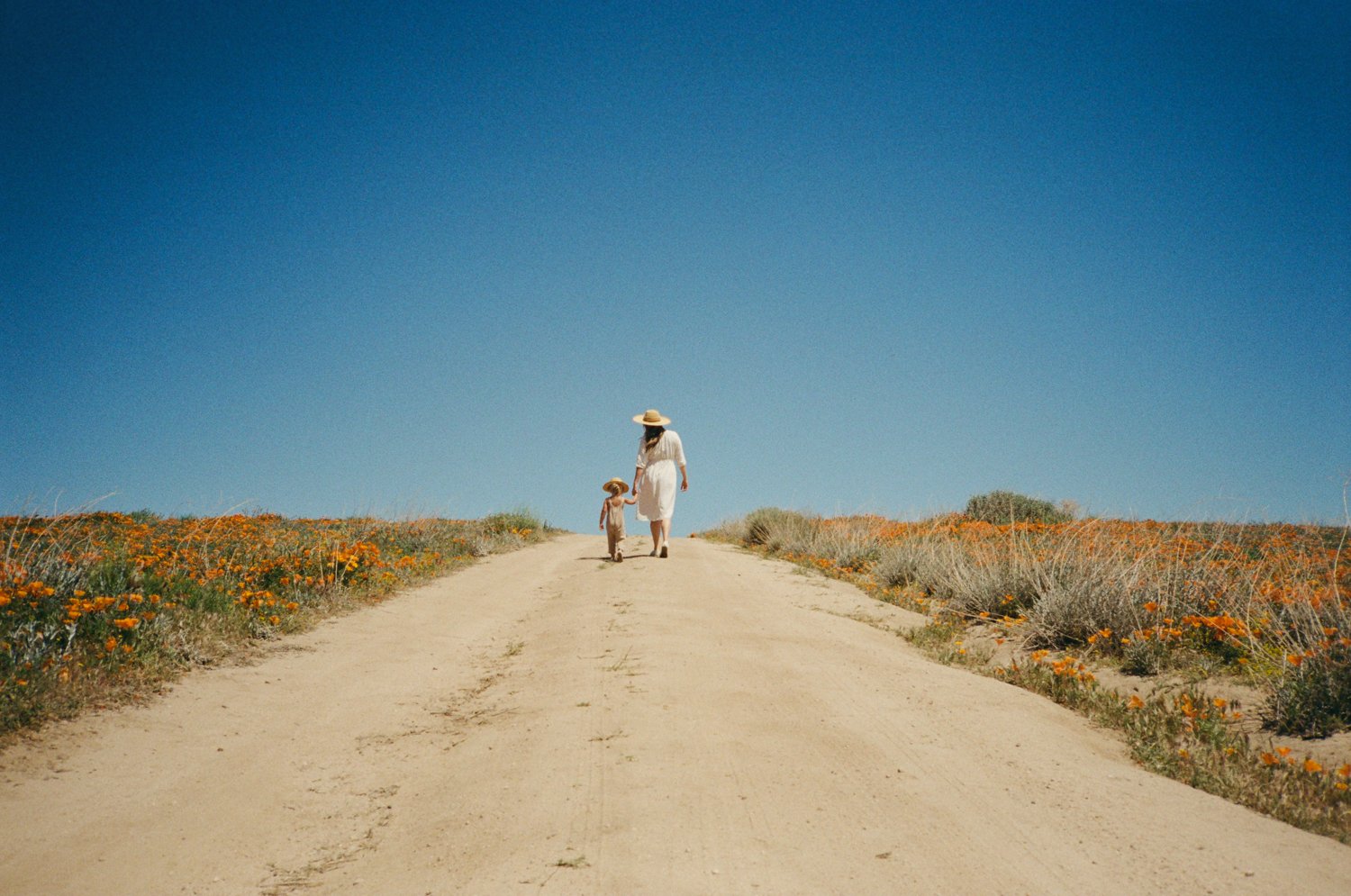 A parent and child walk together along a dirt road through a field of wildflowers in Ojai, California.