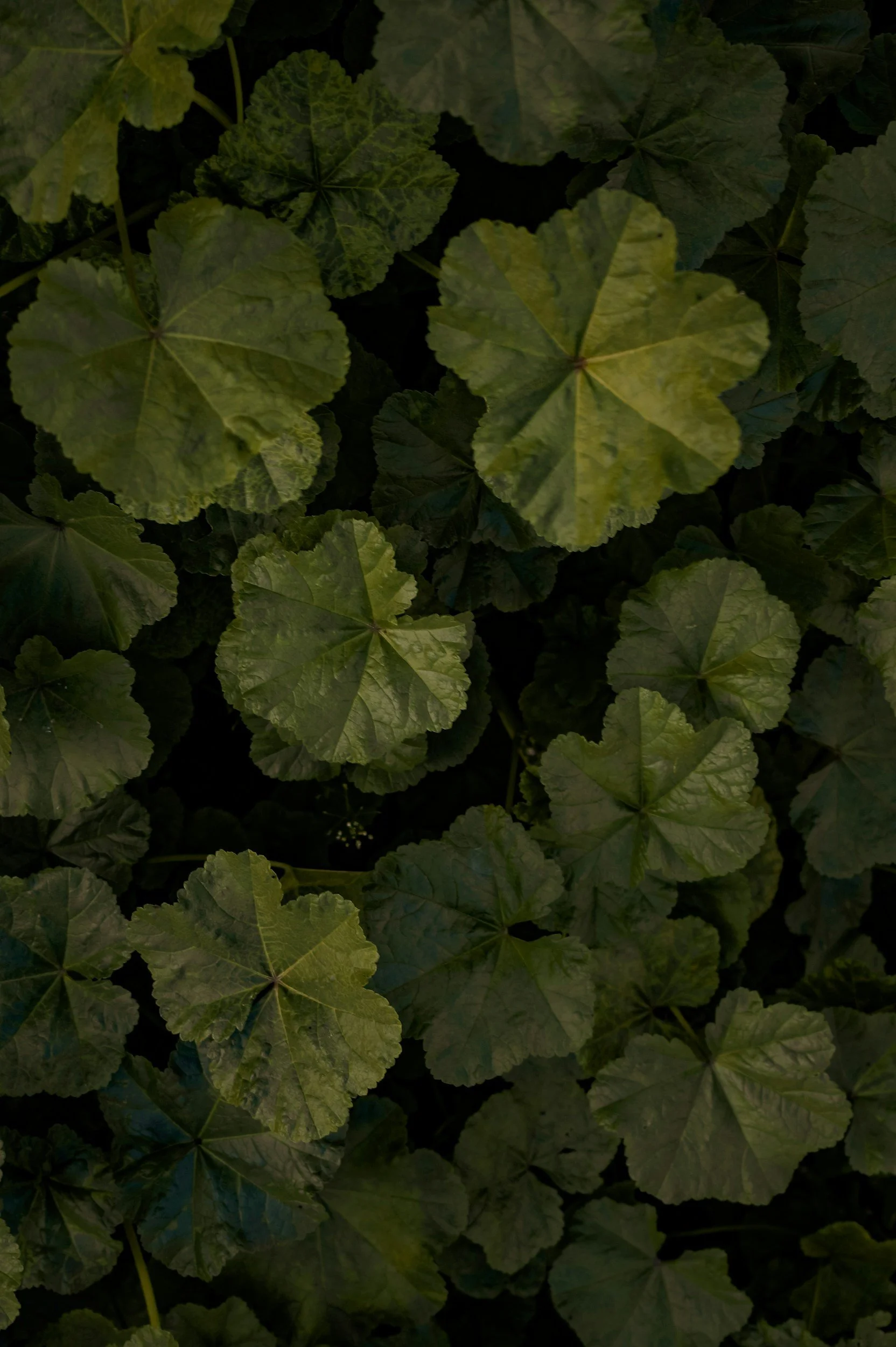 unsplash-image-pYyUf-C7wE0.jpg