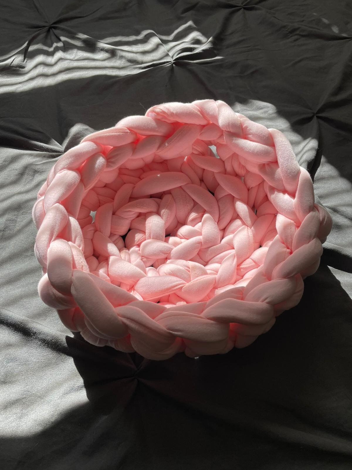 Pink Vegan 2.jpeg