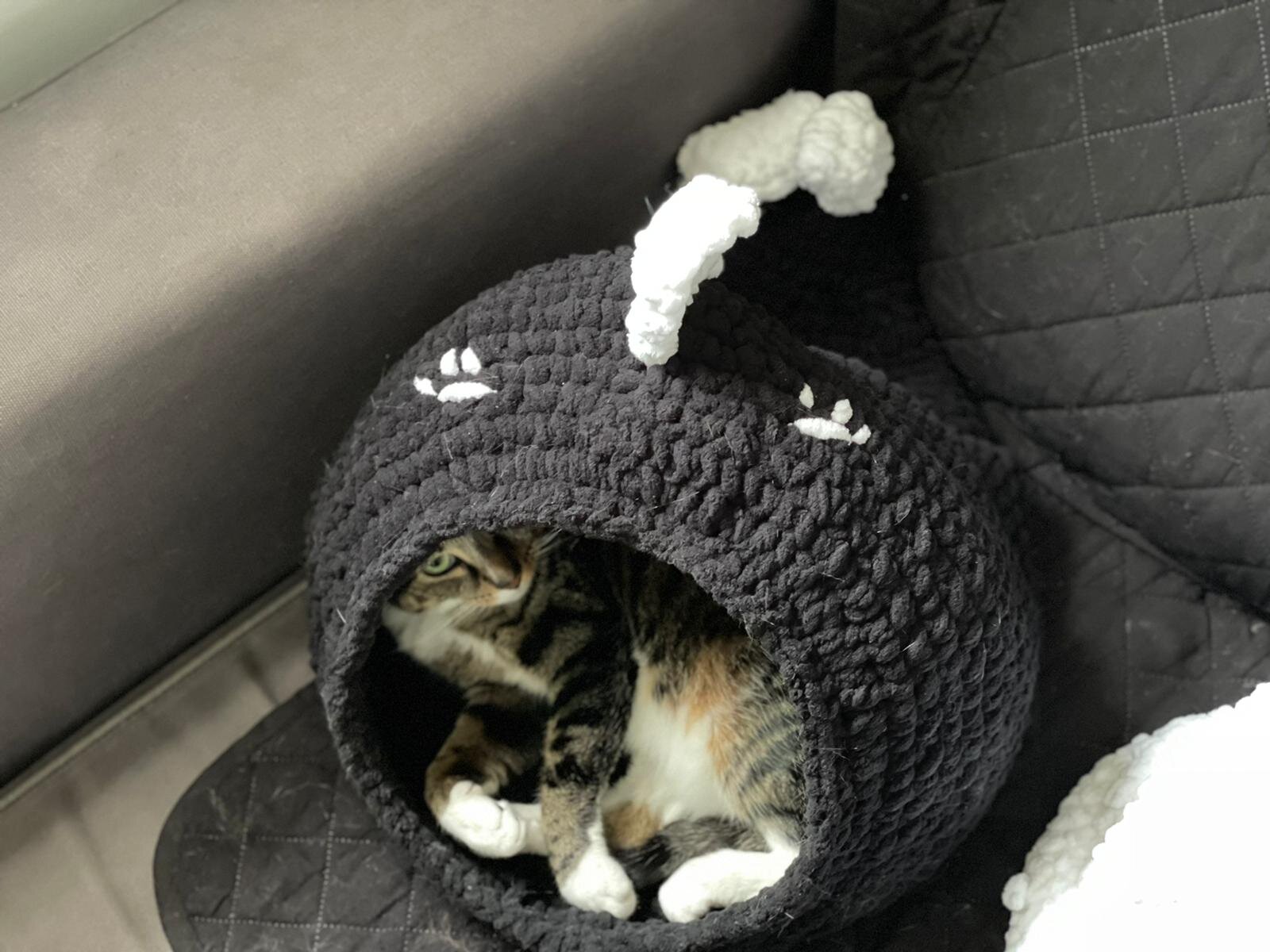 Crochet Fish Cat Bed