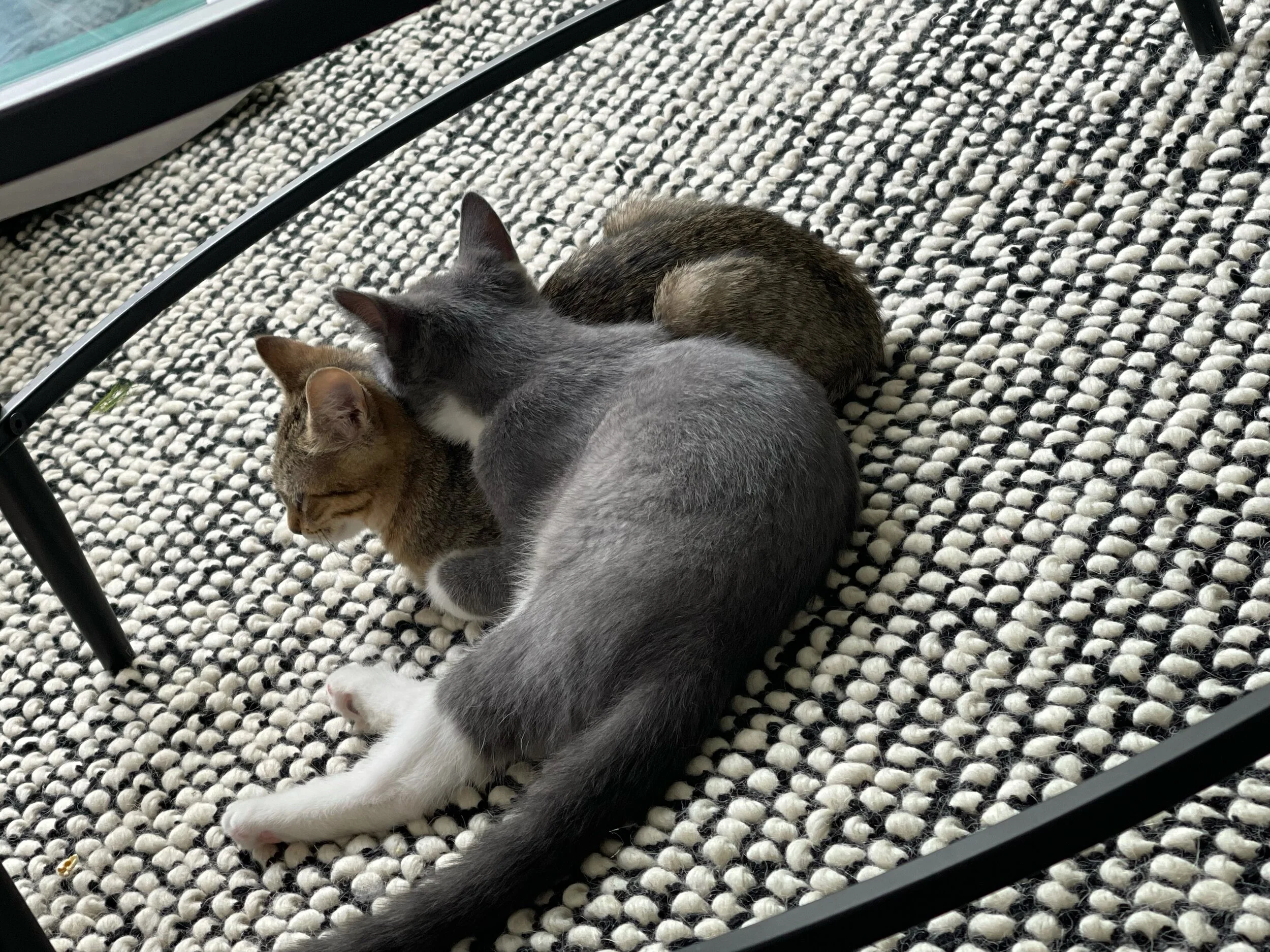 Thunder Storm 3.jpeg