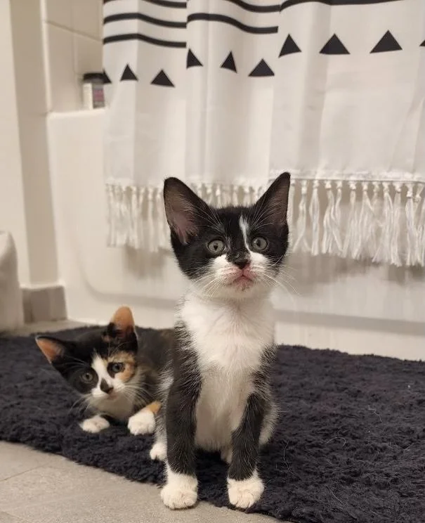 Olivia & Elliot.jpeg