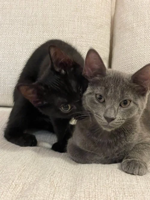 Freddie Deacon 4.jpeg