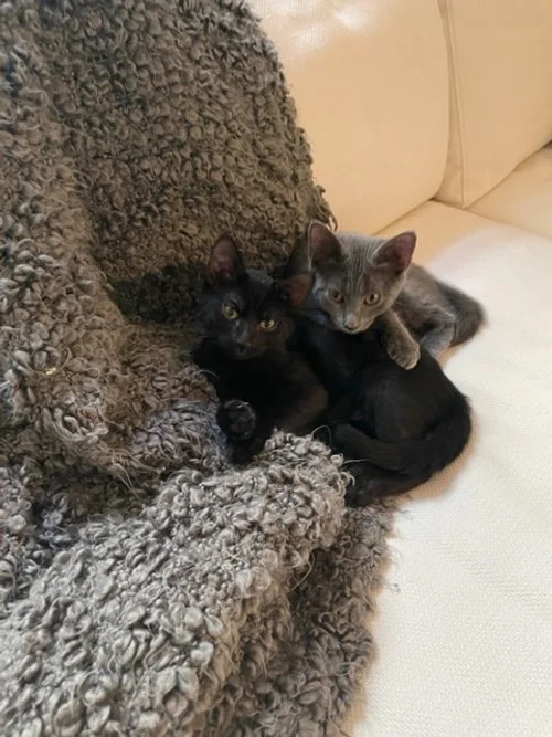 Freddie Deacon 5.jpeg