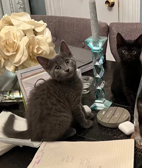 Freddie deacon 6.jpeg