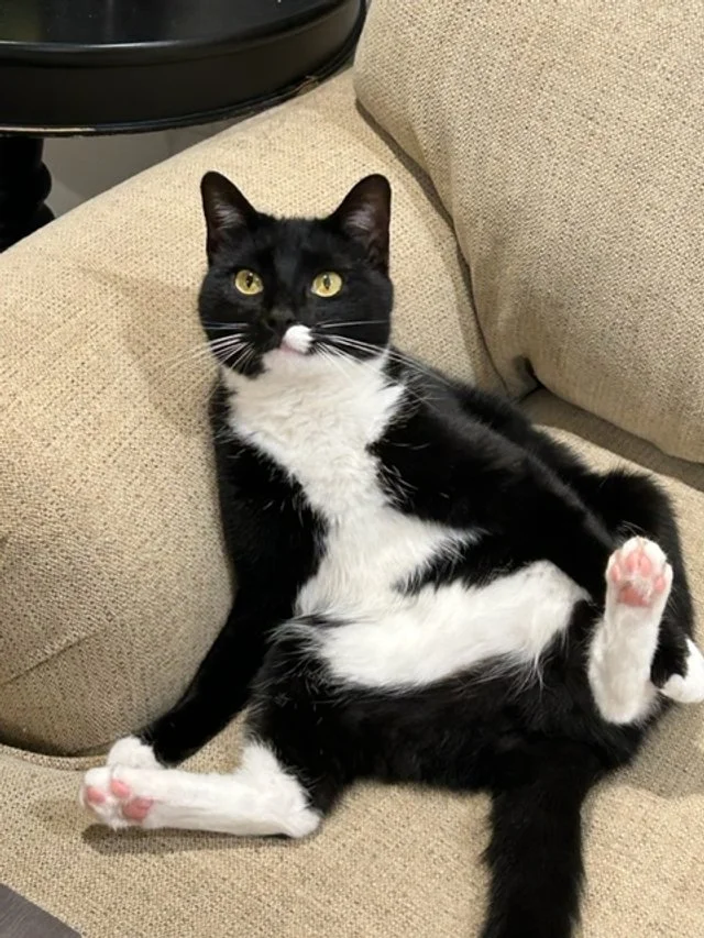 Lulu 3.jpeg