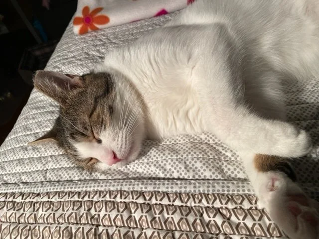 DB upclosesleeps.jpb.jpeg