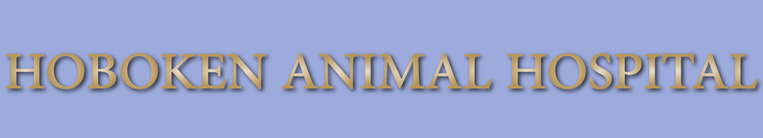 Hoboken-Animal-Hospital_banner_4_13.png