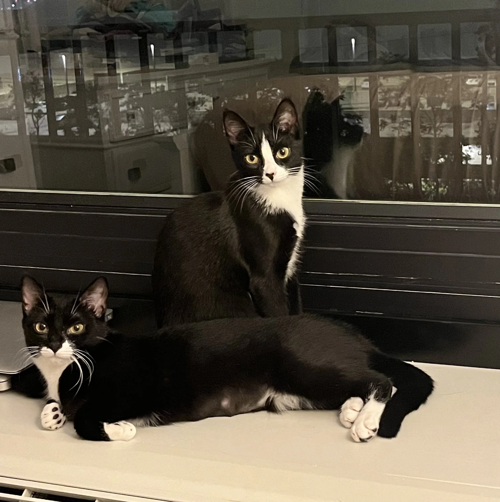 Amina & Xena’s Story