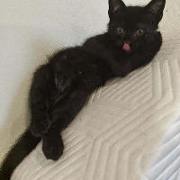 Masud & Abas’ Story