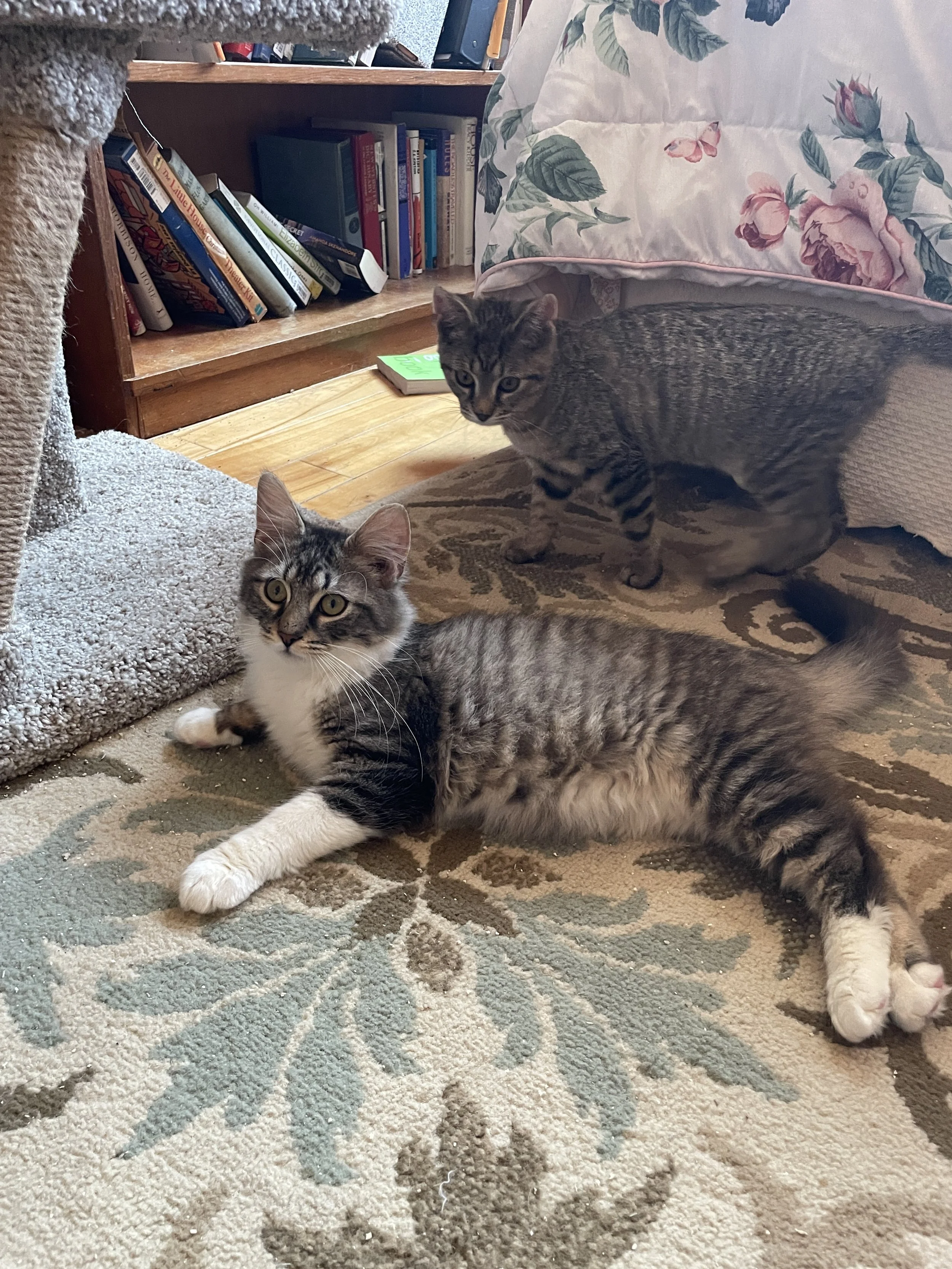 butternut mittens.JPG