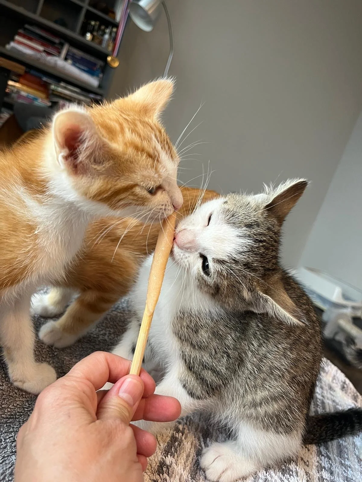 jared and antnoine4.JPG