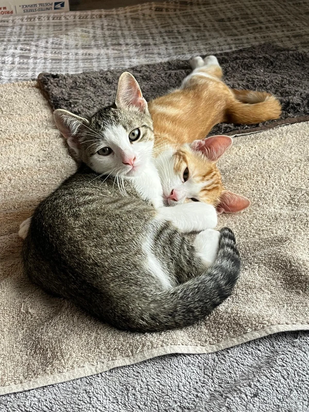 jared and antoine 2.JPG