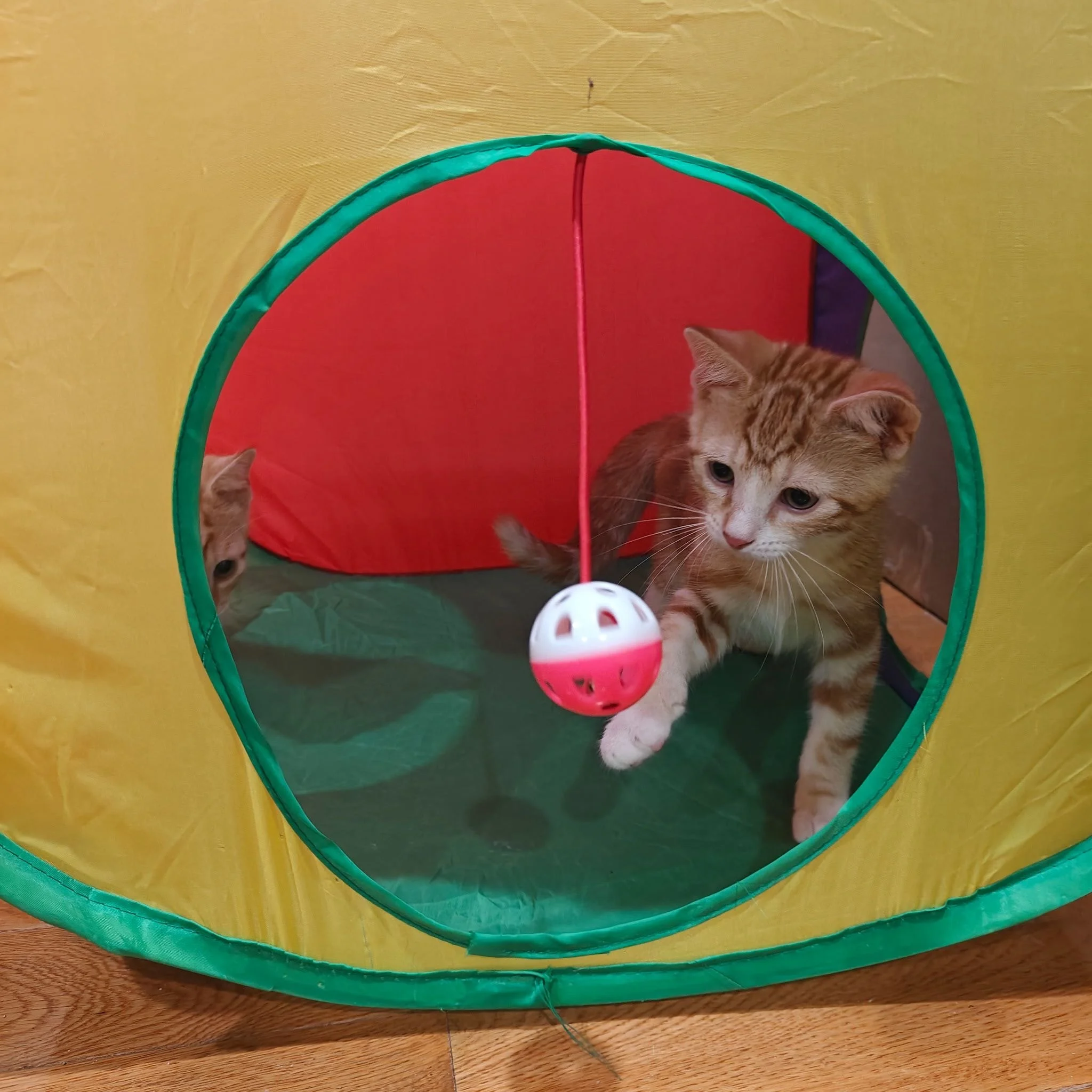 Travis & Patrick 1.JPG