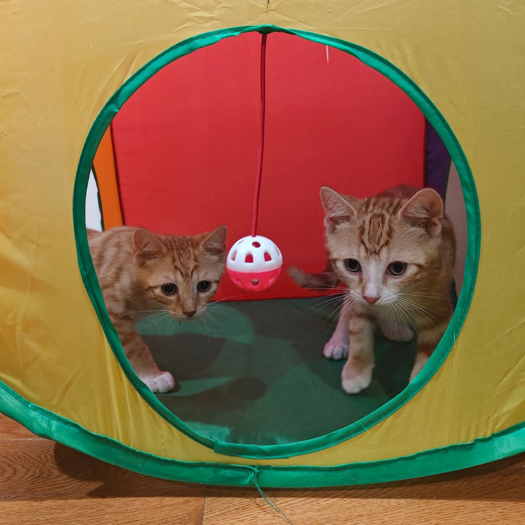 Travis & Patrick.JPG