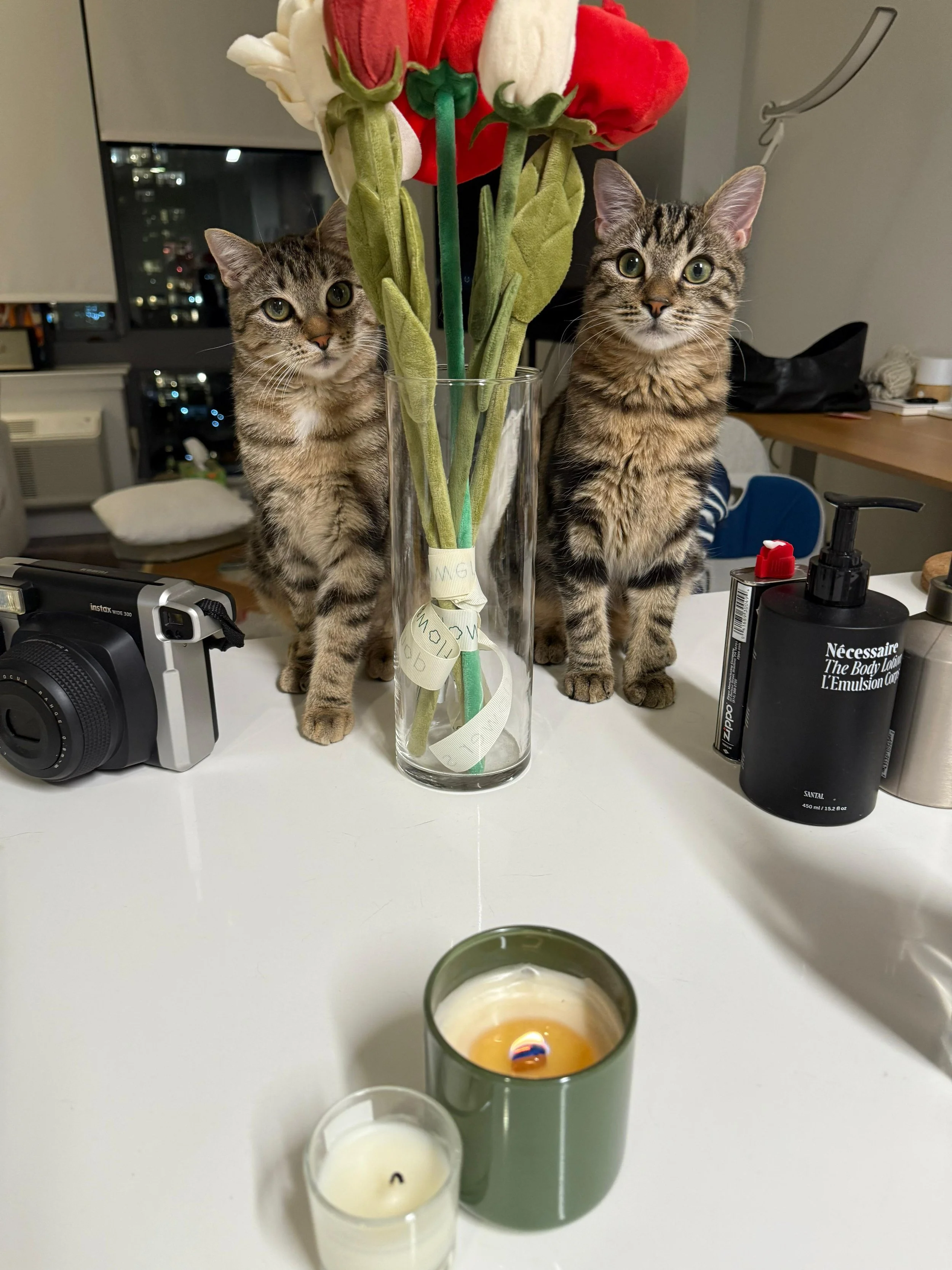 amelia newton flower.jpg