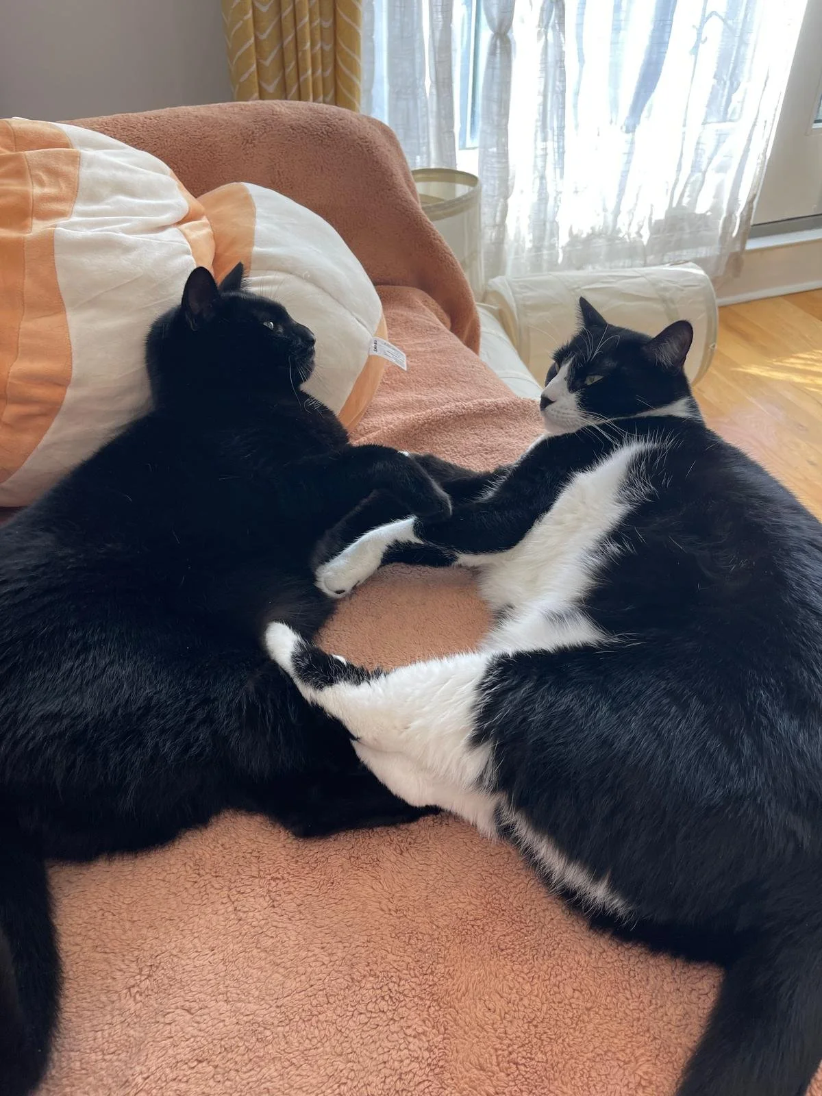 Julian &amp; Mulan’s Story