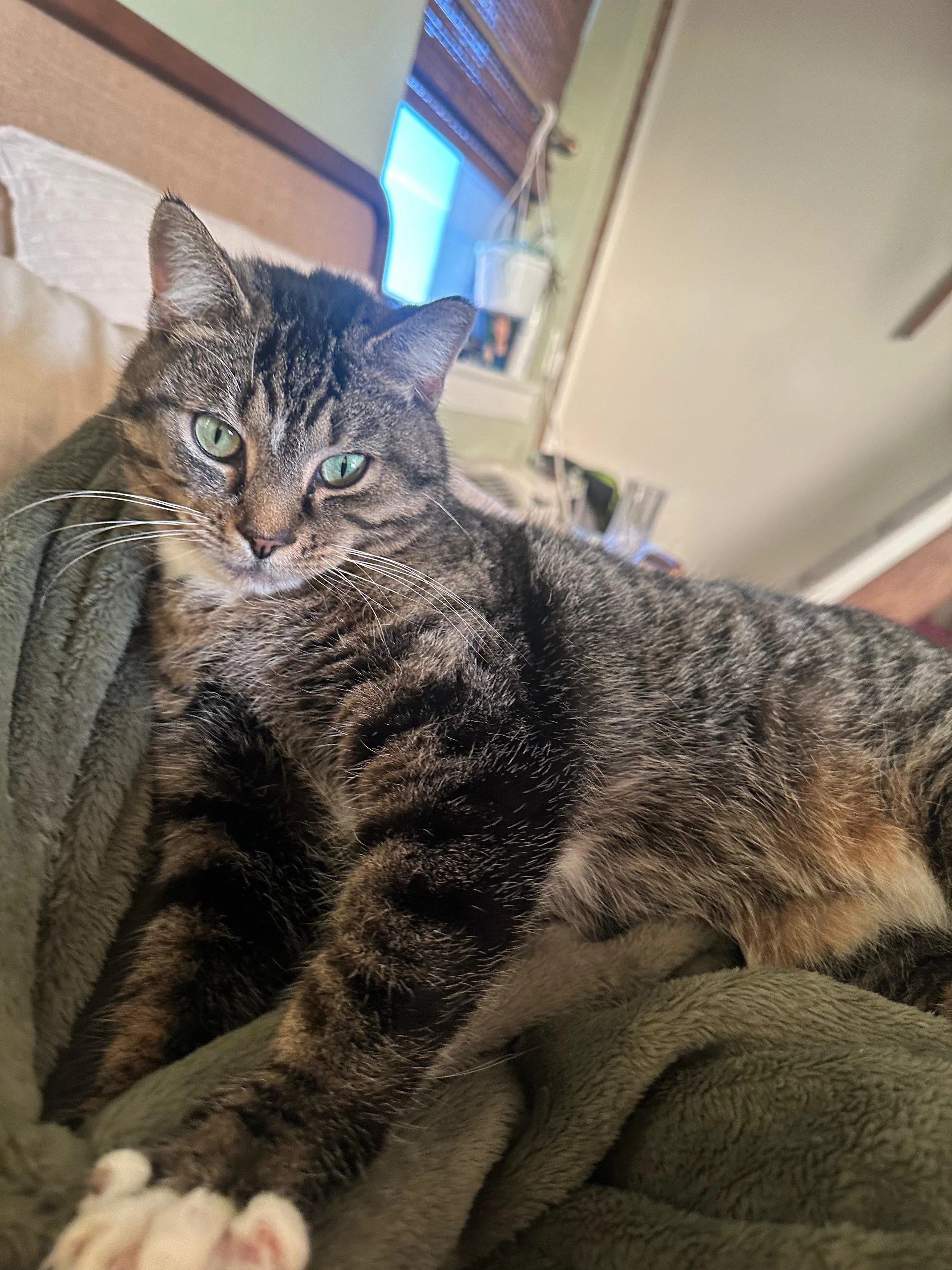 PHOTO-2026-02-13-16-51-40 2.jpg