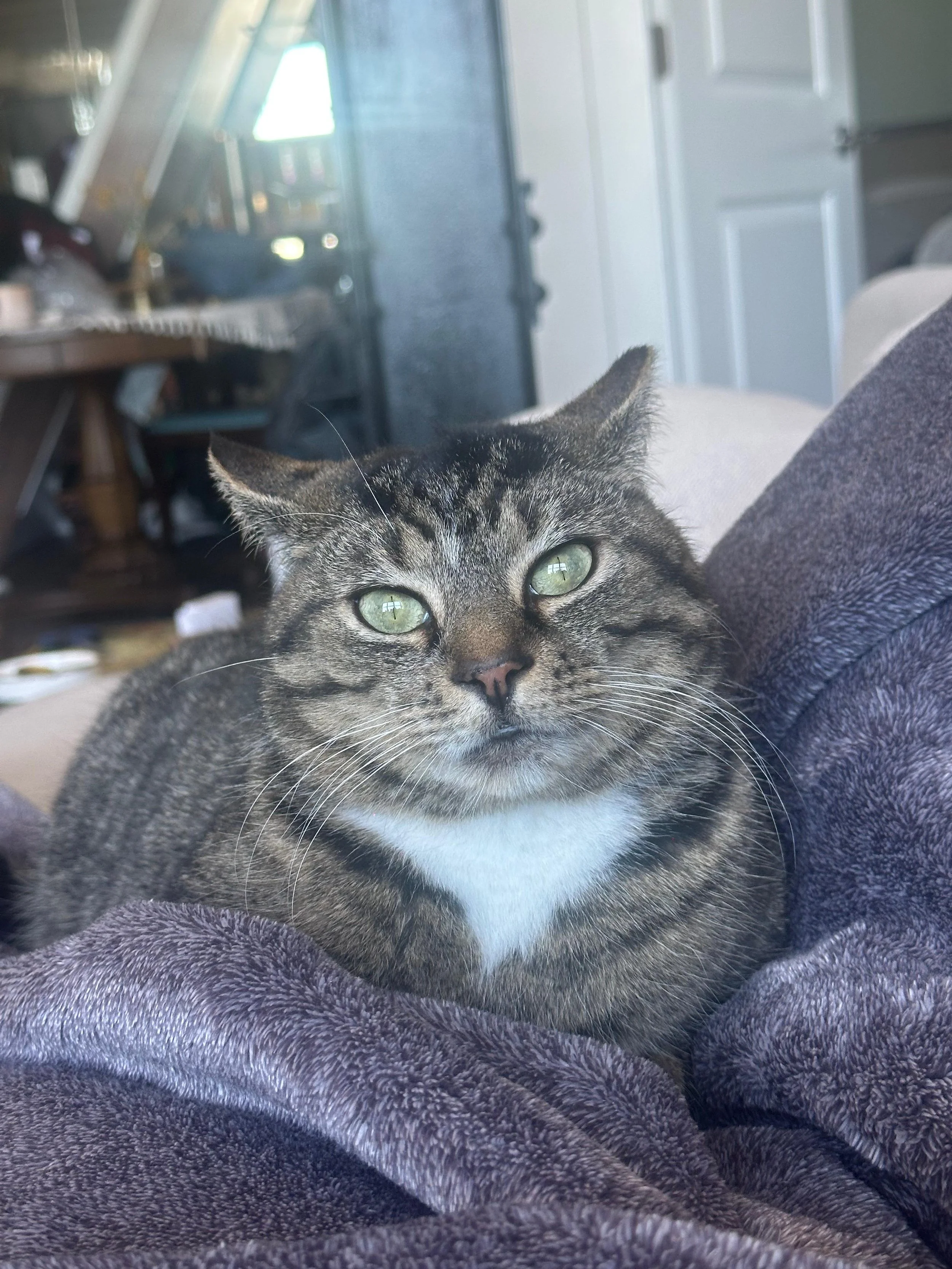 PHOTO-2026-02-13-16-51-40 3.jpg