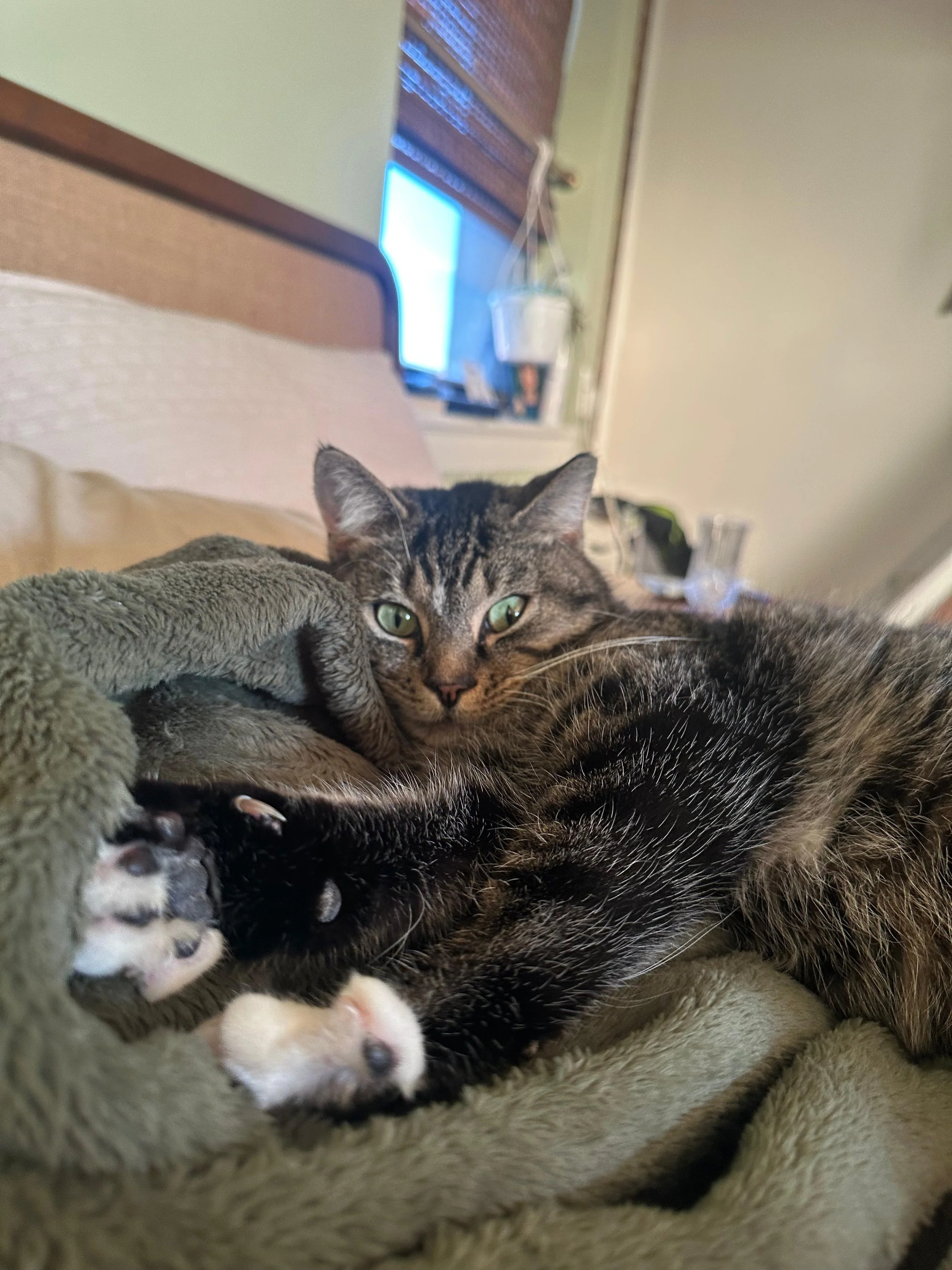 PHOTO-2026-02-13-16-51-40 4.jpg