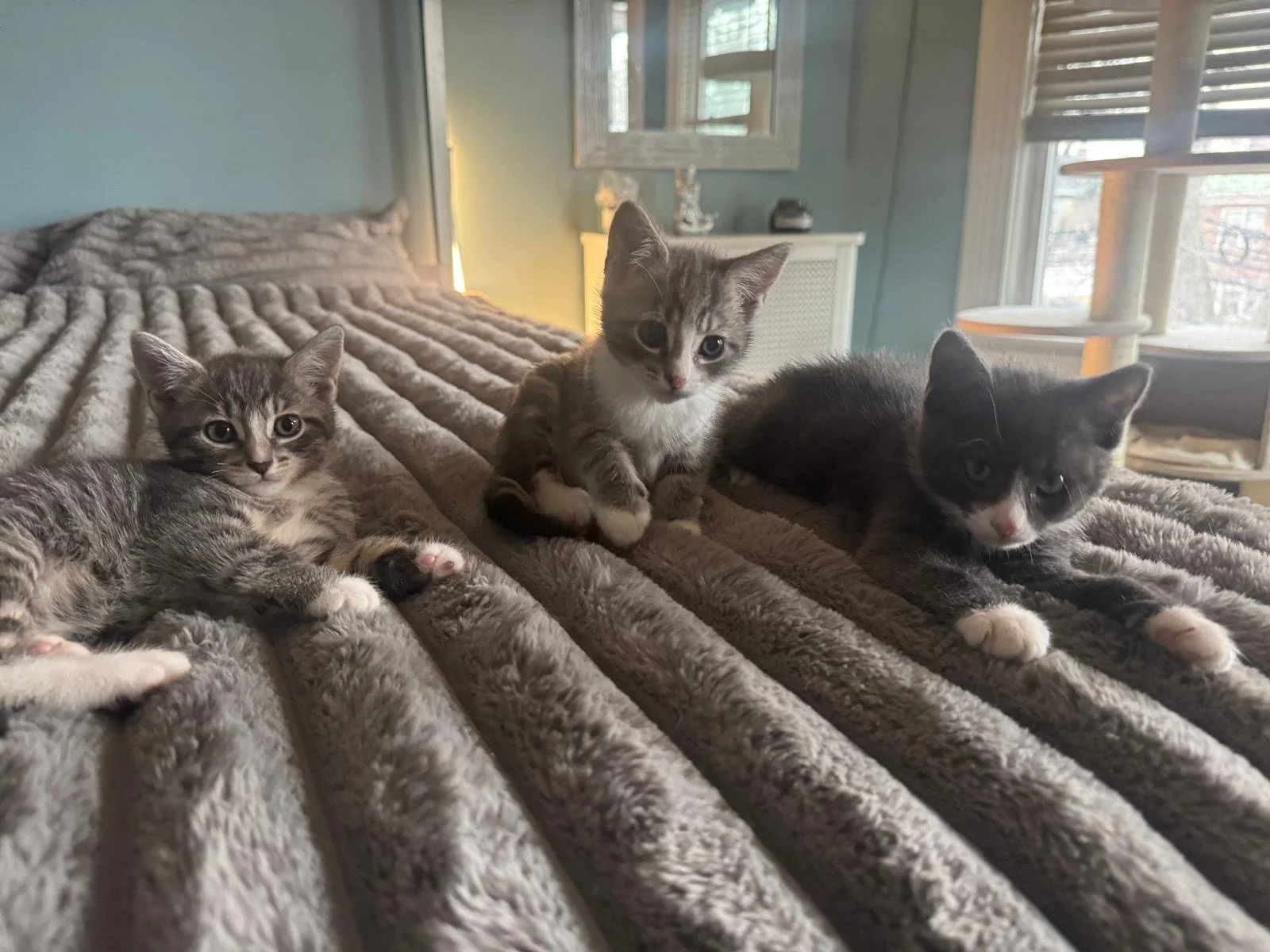 Gary, Greta &amp; Gilda’s Story