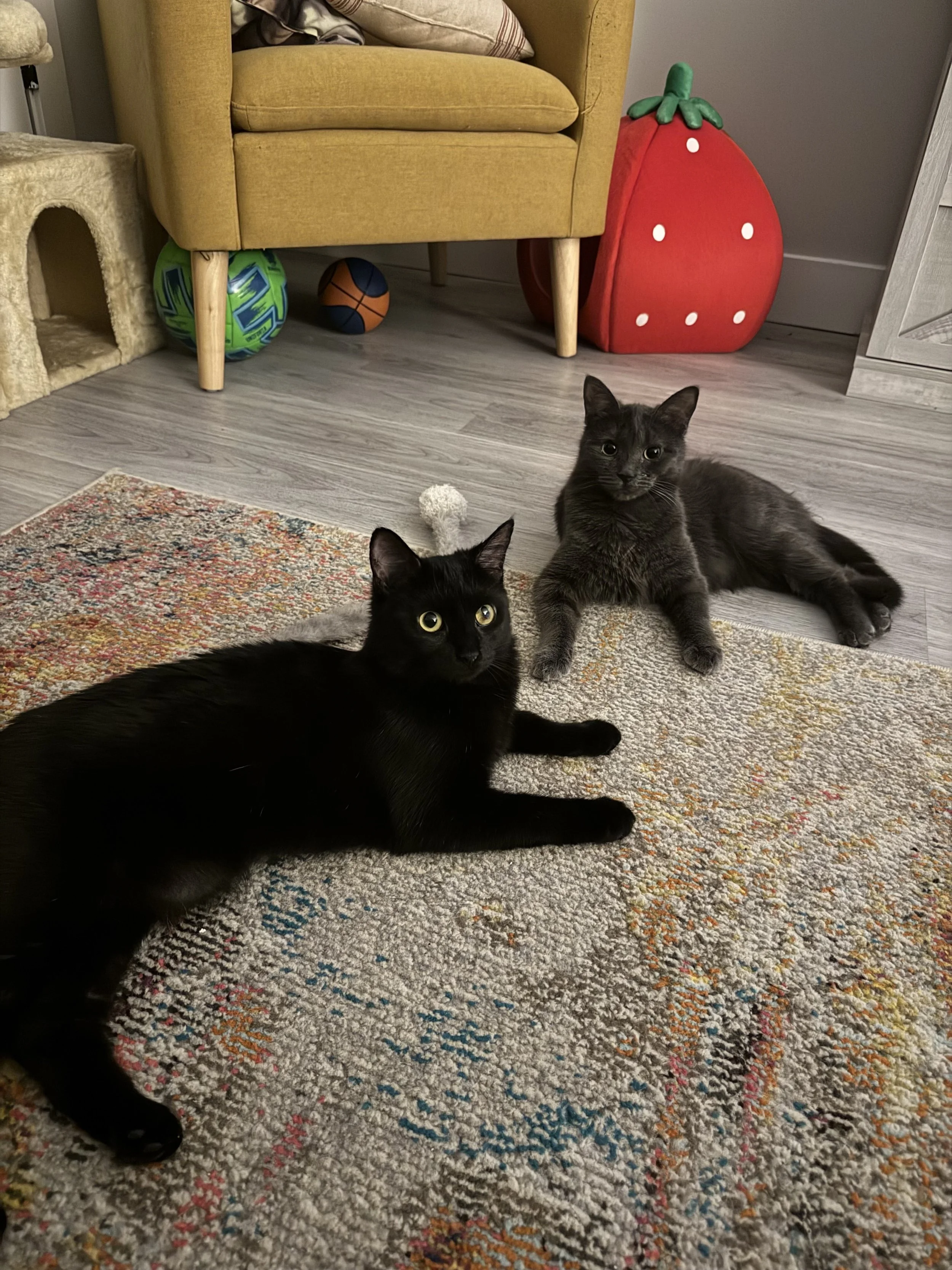 Rosa &amp; Eleanor’s Story